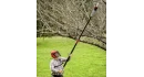 Icon Pruner